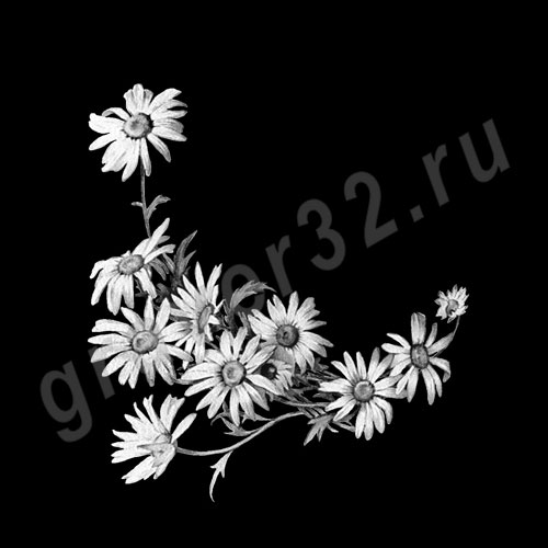 Ромашки 8