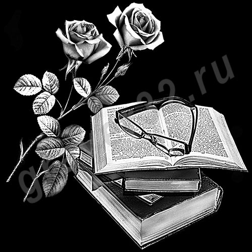 Розы 58