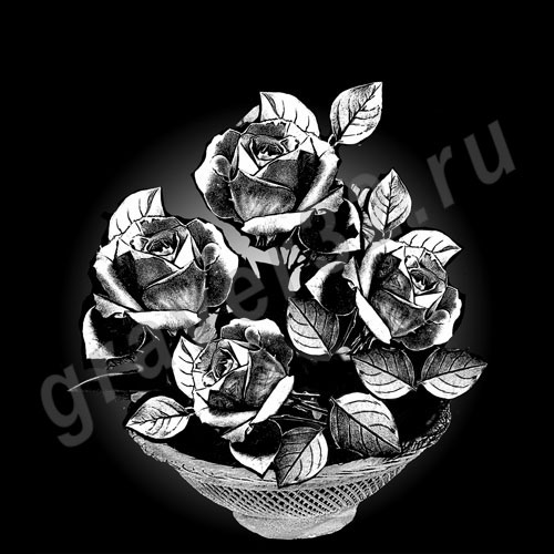 Розы 6