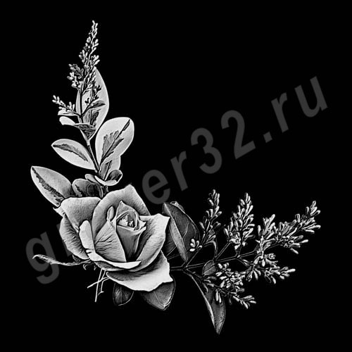 Розы 1