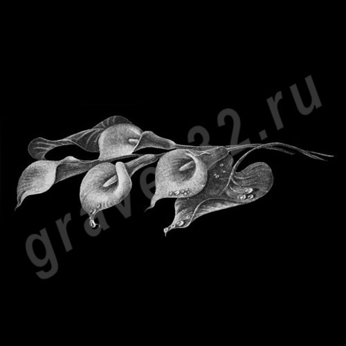 Цветы 31