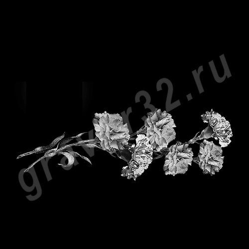 Гвоздики 9