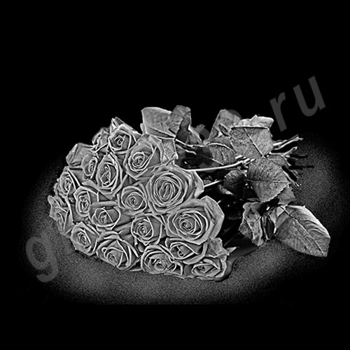 Розы 48