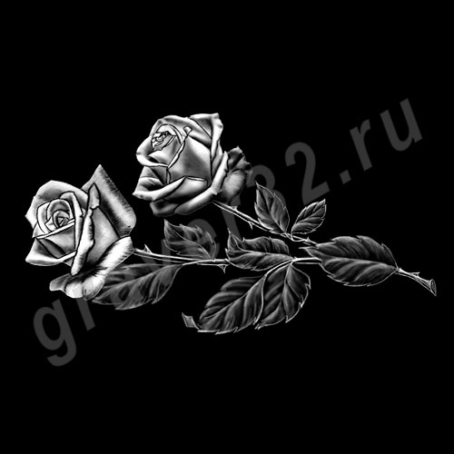 Розы 26