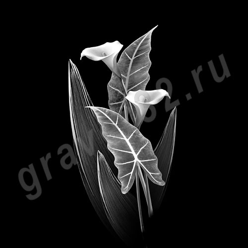 Цветы 26