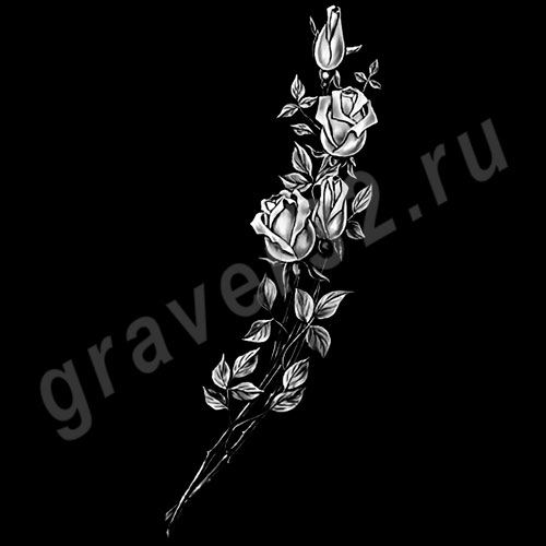 Розы 25
