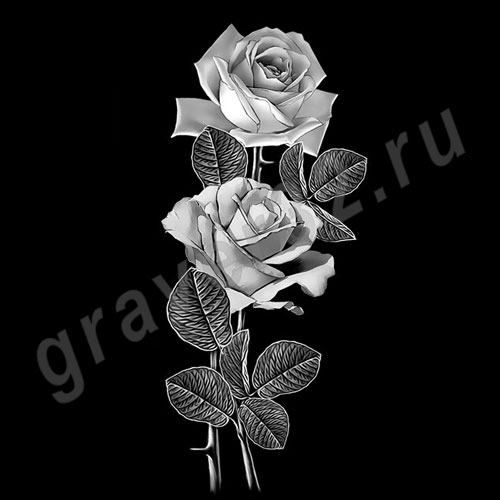 Розы 35