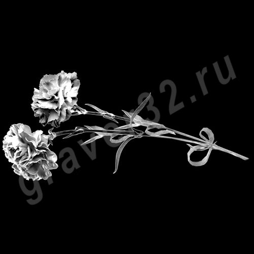 Гвоздики 4