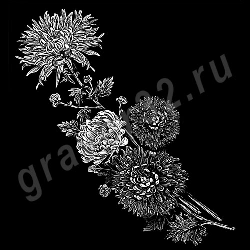 Цветы 25