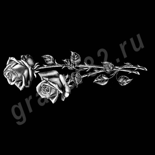 Розы 27