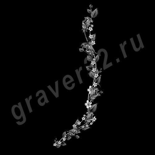 Розы 16