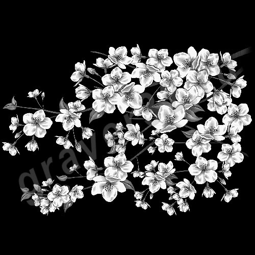 Цветы 14
