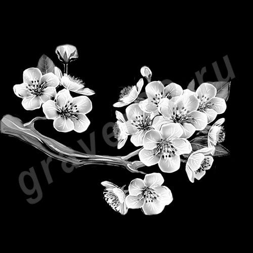 Цветы 13