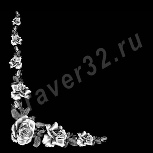 Розы 41