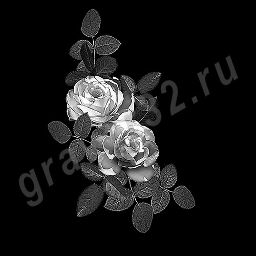 Розы 53