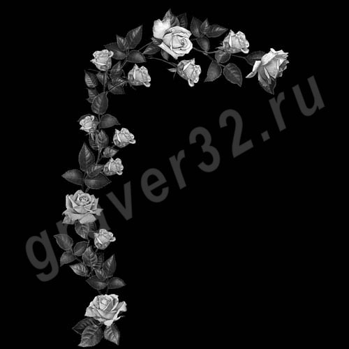 Розы 42