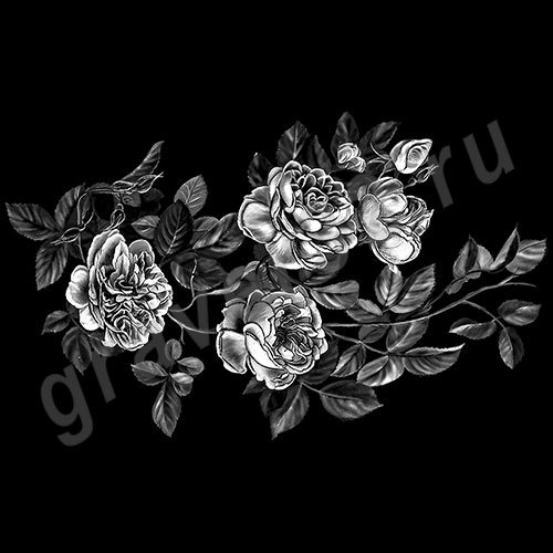 Розы 56