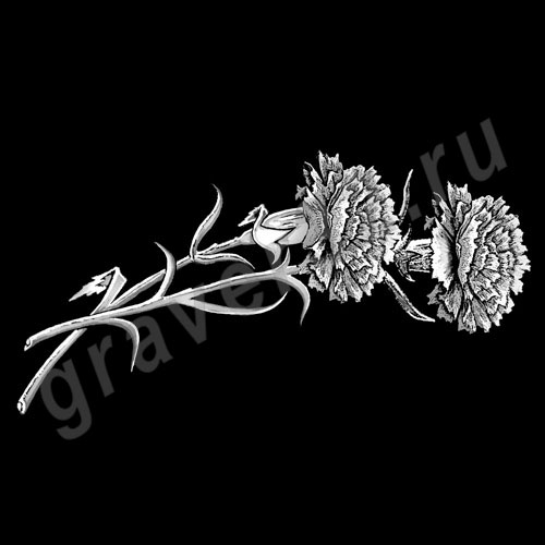Гвоздики 7