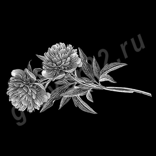Цветы 30