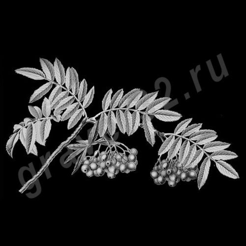Цветы 9