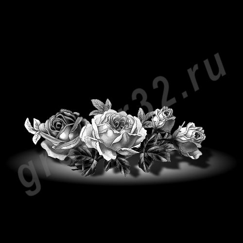 Розы 52