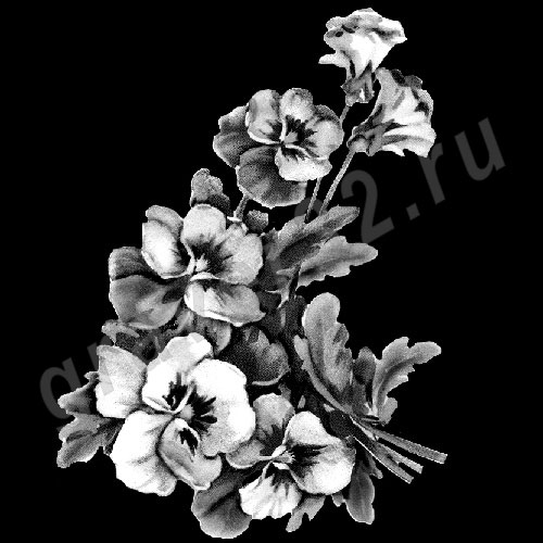 Цветы 18